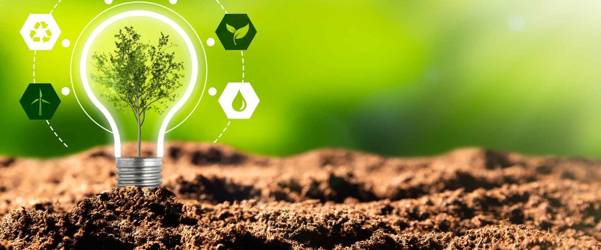 Finding the Right Sustainability Marketing Agency