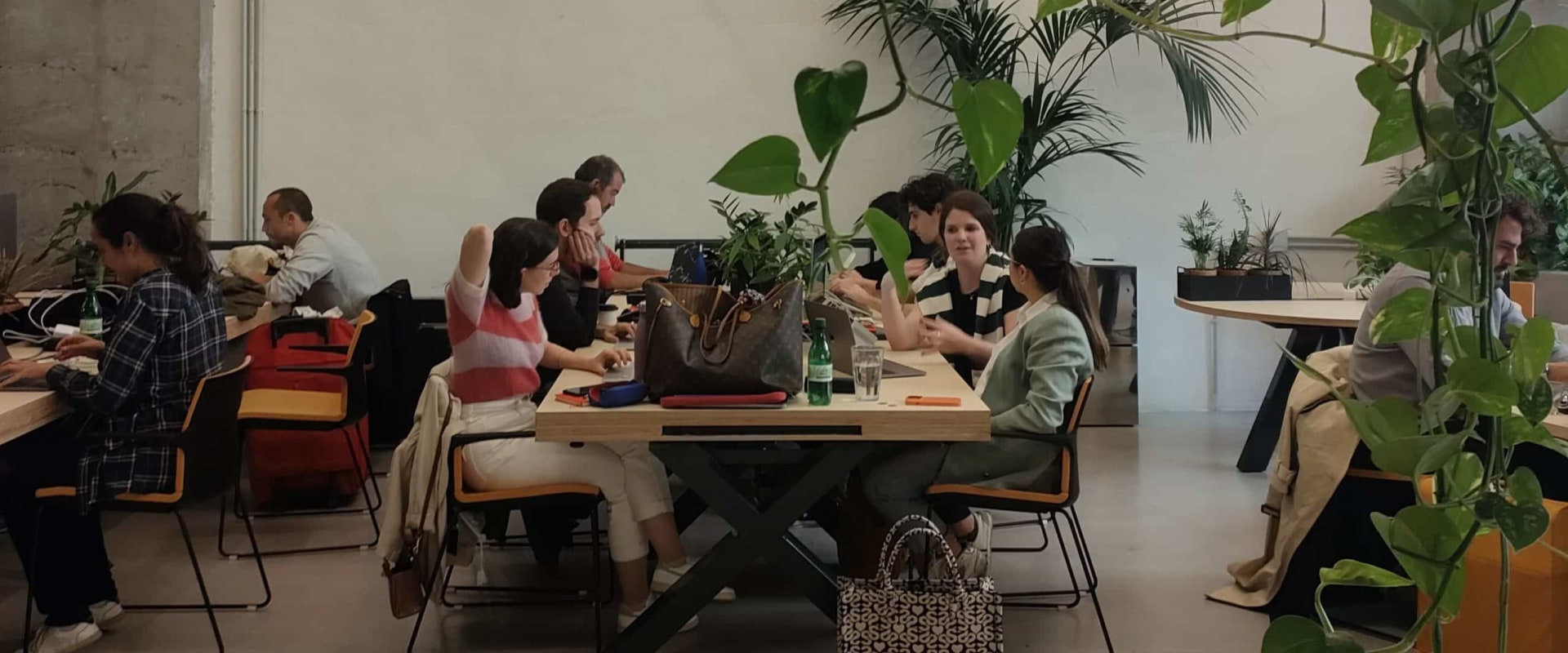 Explore the Best Multicultural Marketing Agencies Near Me